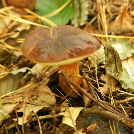 Сasa de vacaciones Z Widokiem Na Zalew *