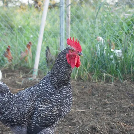 Dom wakacyjny Z Widokiem Na Zalew