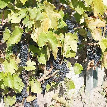 Z Widokiem Na Zalew Dom wakacyjny