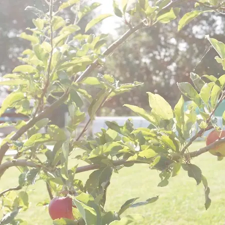 Dom wakacyjny Z Widokiem Na Zalew *