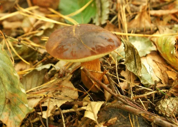 Сasa de vacaciones Z Widokiem Na Zalew *