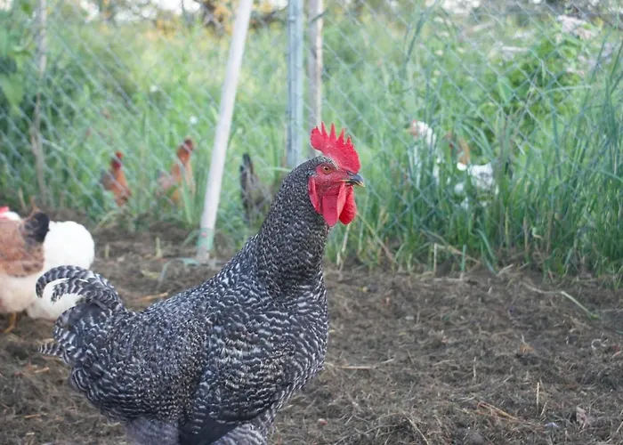 Сasa de vacaciones Z Widokiem Na Zalew