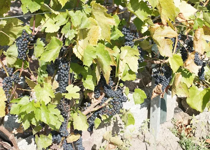 Z Widokiem Na Zalew Сasa de vacaciones