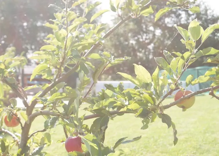 Сasa de vacaciones Z Widokiem Na Zalew *